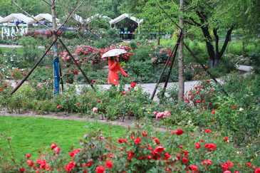 大望京公園游園會啟幕，露營區(qū)將上演“花眠星野”場景