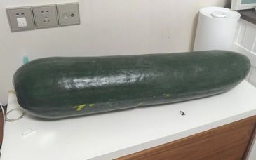 新聞多一度 | “抱冬瓜睡覺”能降溫？醫(yī)生提示：并非人人適用