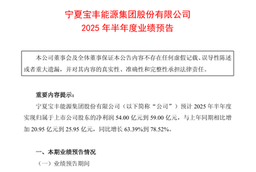 宝丰能源：预计上半年归属股东净利润同比增长至少63%