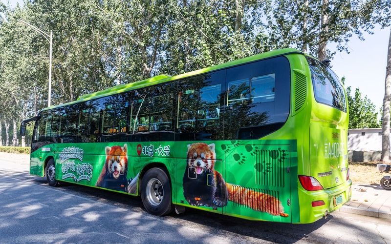 北京公交通游专线19路推出主题巴士，一站直达北京野生动物园 — 新京报