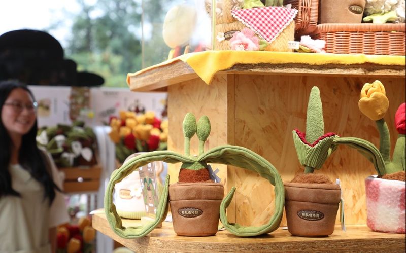 国家植物园文创新品“双节”亮相，镇园之宝千岁兰变身毛绒爆款 — 新京报