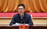 市长李刚,主动投案