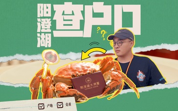 给一只大闸蟹查户口，我们追了1000000米｜后峰青年