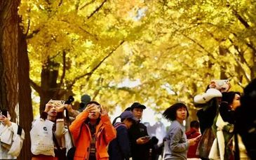 未来五年，北京这七类城怎么建？