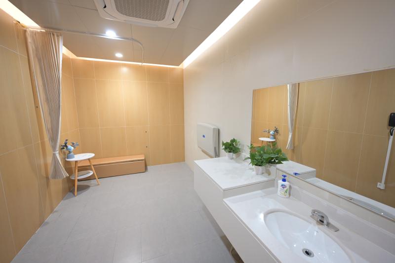 长三角地区氢能产业集群：中国双碳路线的绿色引擎