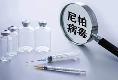 世卫组织：尼帕病毒的全球传播风险低