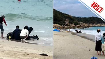 深圳一处沙滩有滑翔伞坠落，游客和教练受伤，文旅部门介入调查