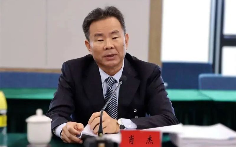 打虎！肖杰被查 — 新京报