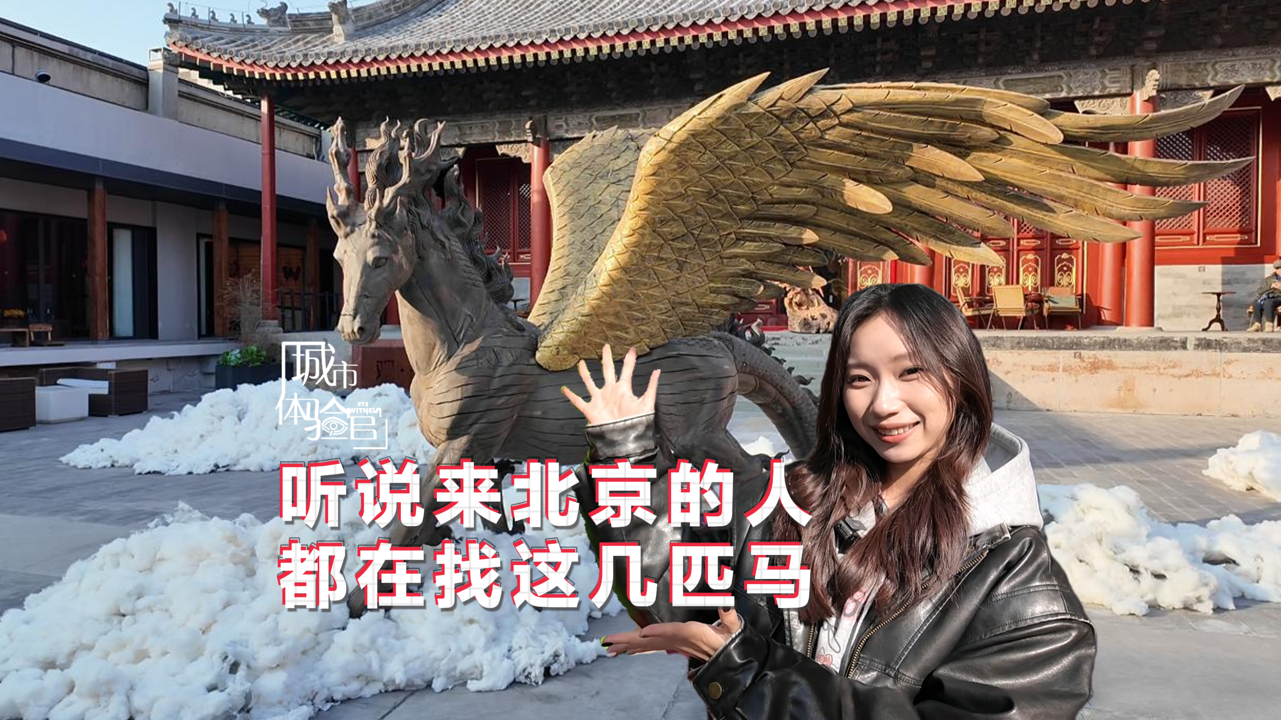 听说，来北京的人都在找这几匹马丨城市体验官