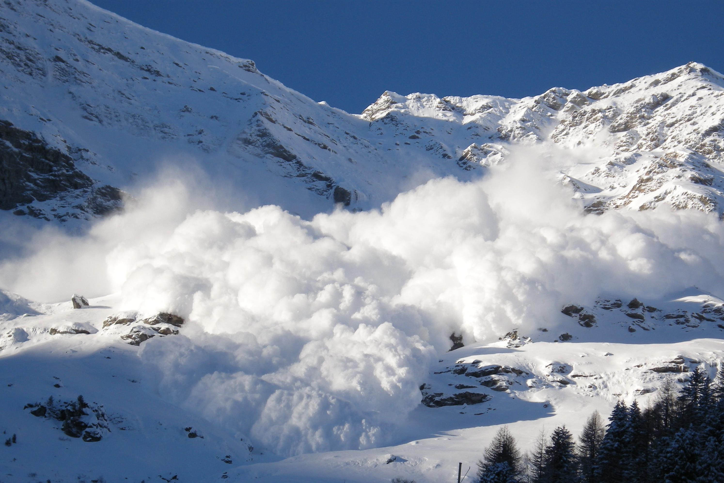 美国加州北部发生雪崩 致10人失踪