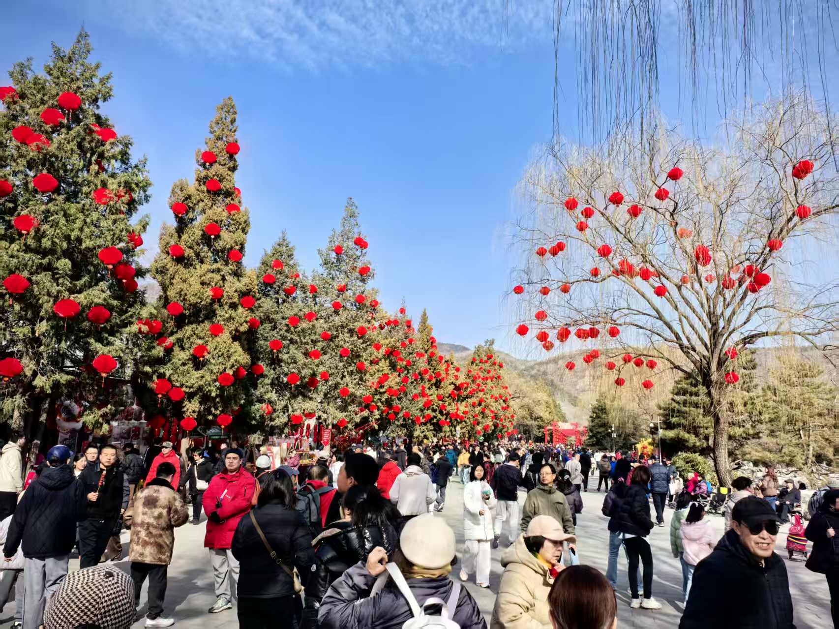 春节假期，北京这三家公园最受青睐