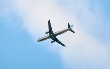 一航班遭遇鸟击返航，民航针对鸟击风险有哪些应对举措？