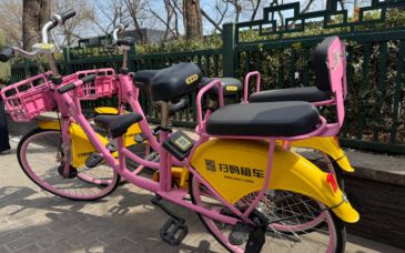 违规亲子单车再现，无法开锁、成占道“僵尸车”｜有事儿@新京报