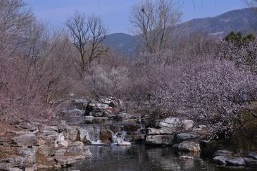 国家植物园赏花攻略来了，收好这份赏花时间表