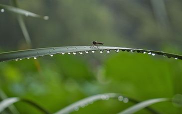 北京今夜有弱降雨，明天转晴气温回升
