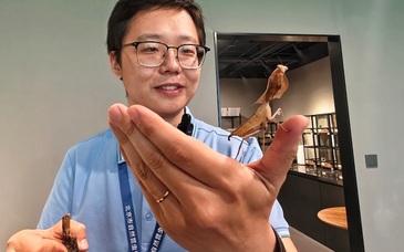 视频｜南中轴首座博物馆亮相 北京市自然昆虫博物馆开馆