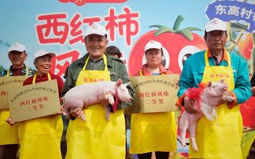 种西红柿赢小猪？平谷东高村镇尝鲜季欢乐开场