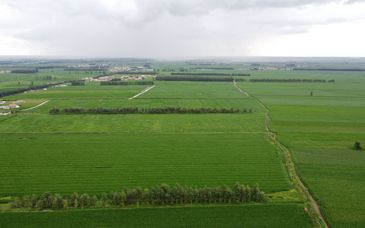 耕地保护和质量提升法拟增加规定，运用现代信息技术加强耕地保护
