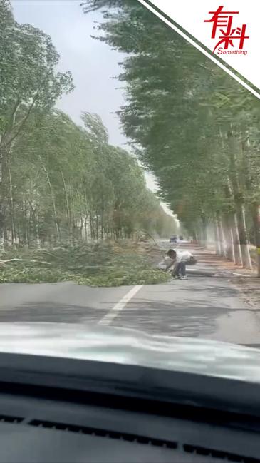 这背影真帅！大树被风刮倒挡路男子下车默默搬移 随后路人加入