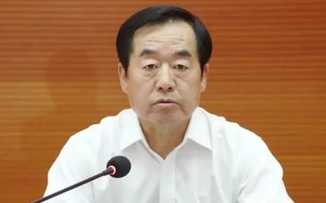 中央巡视组原副部级巡视专员许传智，被逮捕、提起公诉