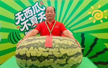 159.5斤，大兴西瓜节新一届“瓜王”诞生