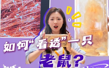 活力中国调研行| 如何“看透”一只老鼠  ？