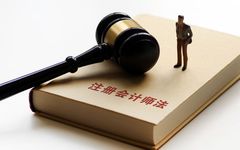 注册会计师法修正草案二审，拟规定提供虚假会计资料法律责任