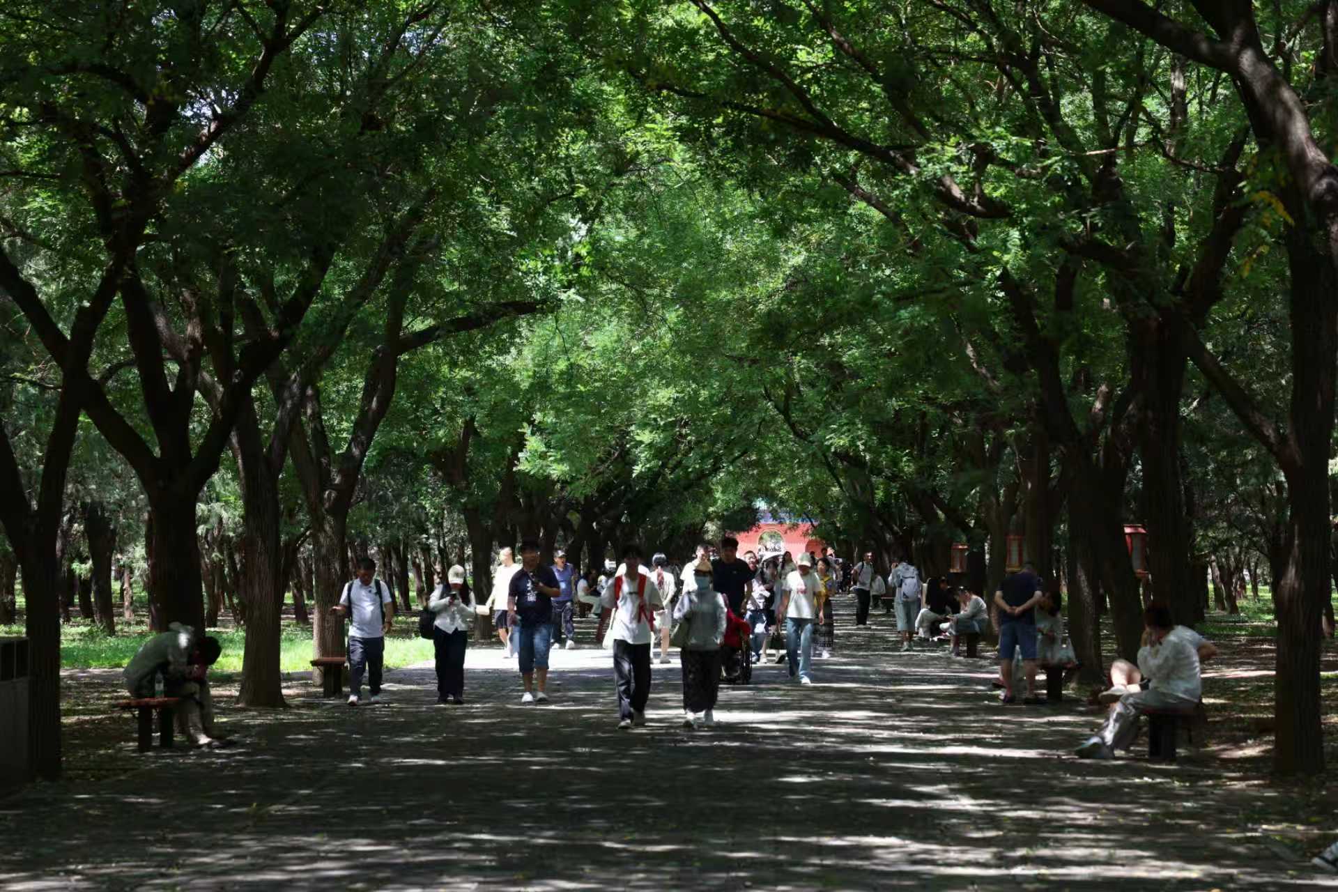 高温来袭，北京公园推出“清凉游览路线”