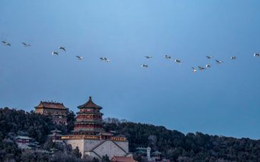 综合研判雨势雨情，颐和园、北京动物园等即刻恢复开放