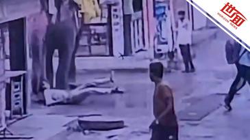 国际｜印度一男子喂食大象时突遭袭击 被象鼻击倒又遭踩踏身亡