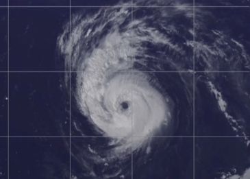 “白海豚”路径仍存变数 8月5日前对我国近海无明显影响