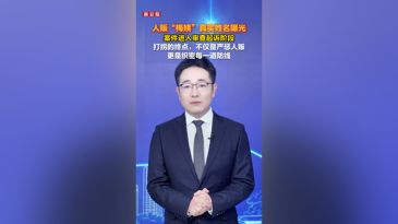 人贩“梅姨”真实姓名曝光，案件进入审查起诉阶段