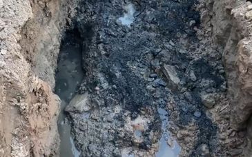 粪污覆盖良田 湖北郧西成立联合调查组
