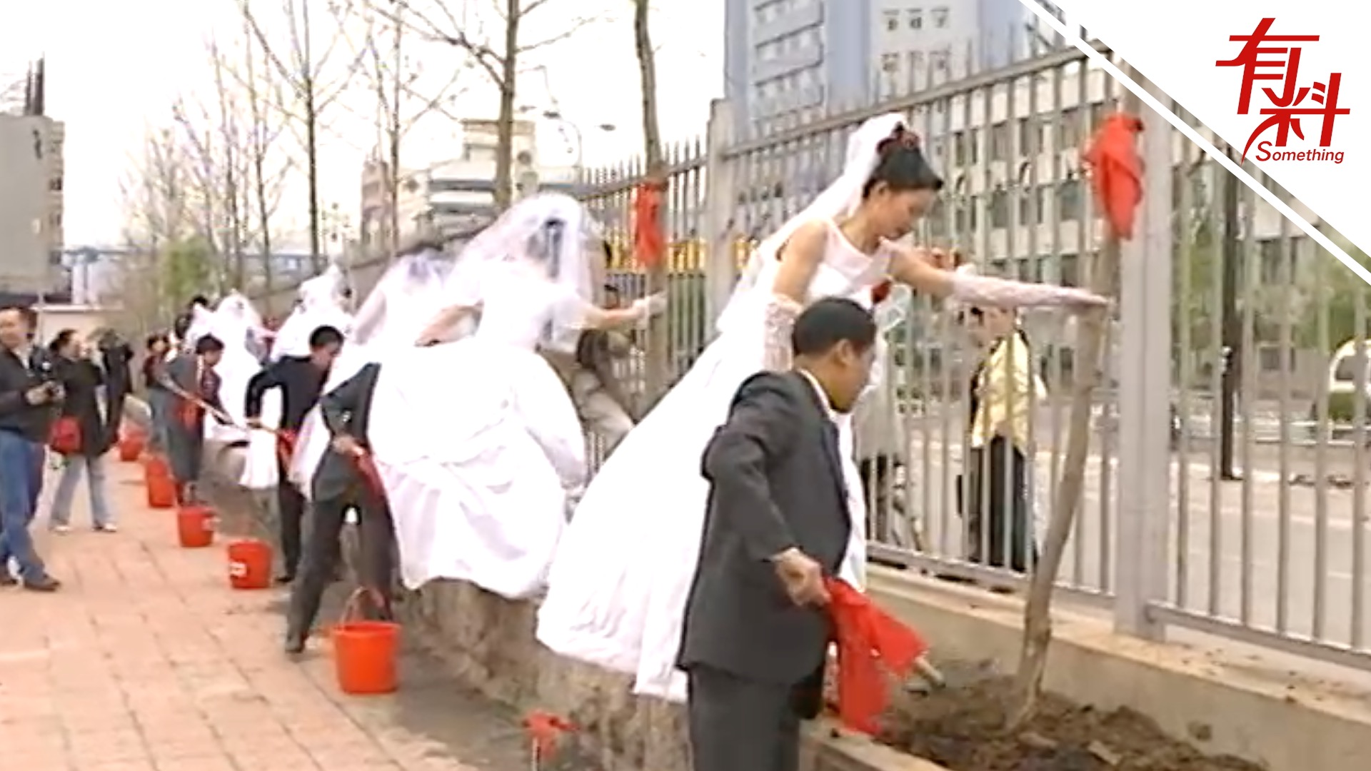 24年前的集体婚礼有多浪漫？老师们种下的树苗如今已成参天大树