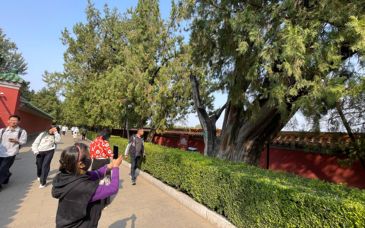 国庆假期北京迎客2345万人次，接待量前十名景区公布