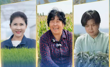 联合国粮农组织表彰“百位巾帼英雄” 殷玉珍等3名中国女性获殊荣