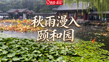  视频｜颐和园秋雨：残荷伴古建，雾染层林间