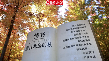 视频｜北京赏秋新名片，怀柔北房红枫林