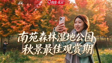 视频｜南苑森林湿地公园秋景进入最佳观赏期