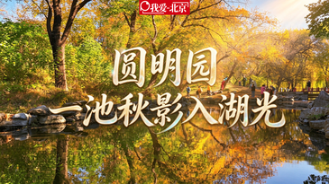 视频｜圆明园，一池秋影入湖光