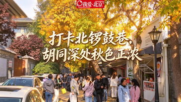 视频｜打卡北锣鼓巷，胡同深处秋色正浓