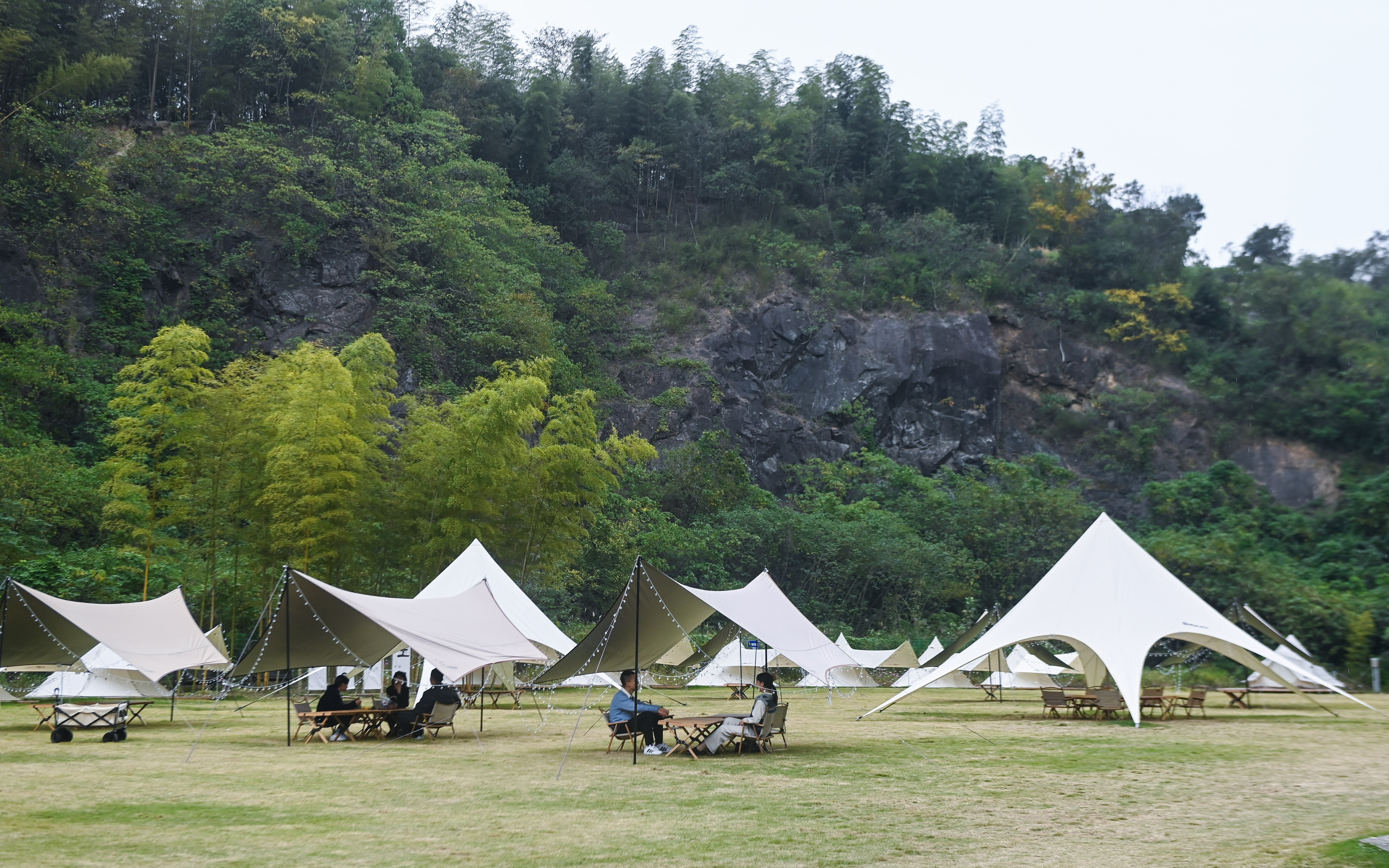 新京报 - 好新闻,无止境