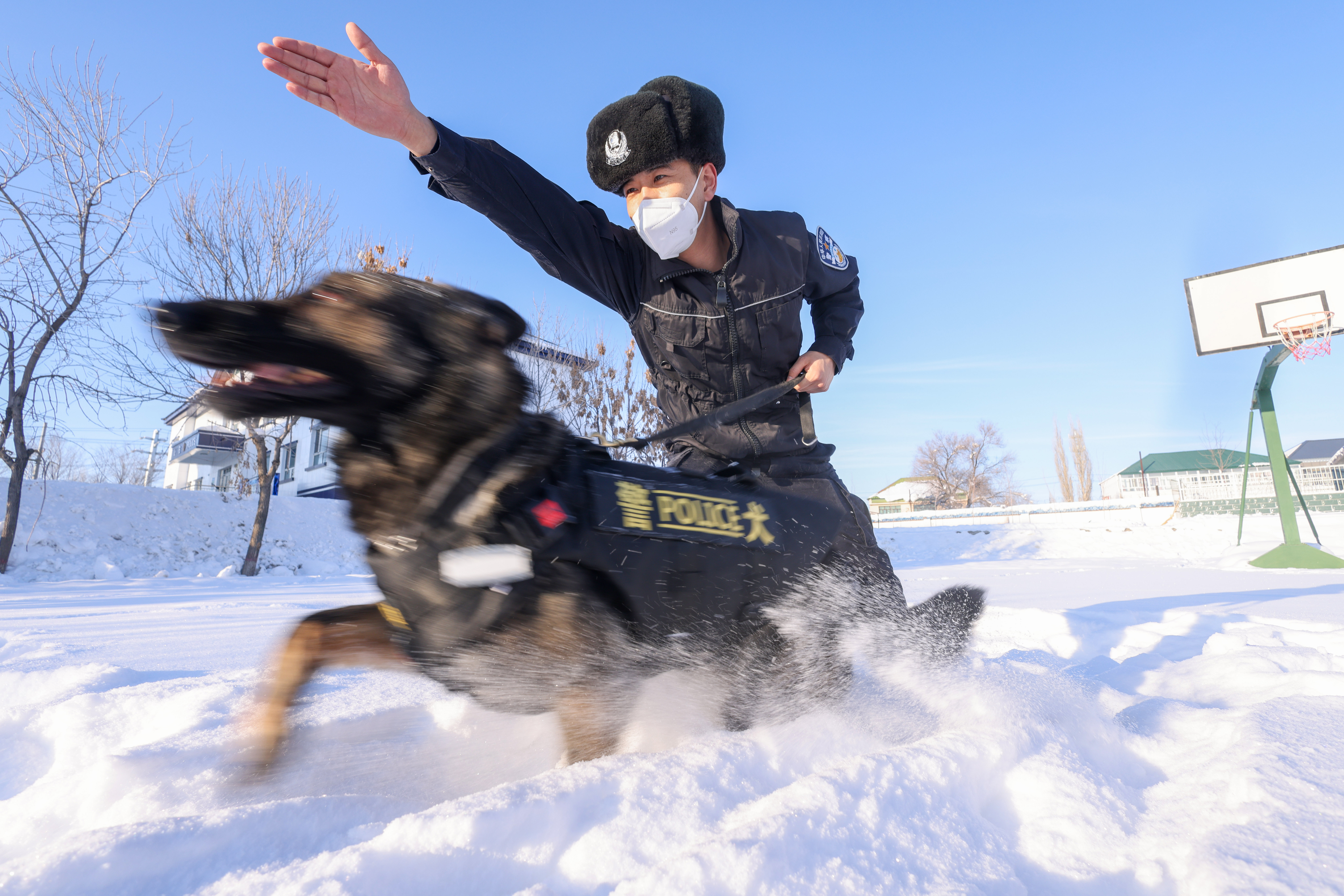 为适应严寒天气新疆阿西尔边境派出所开展警犬冬季训练