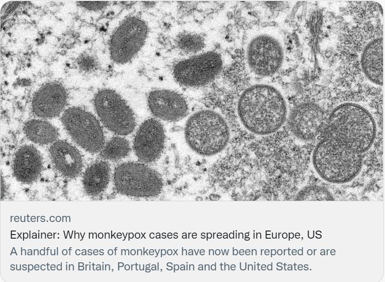 多国出现猴痘病例，这个天花的近亲需引起重视 | 新京报专栏
