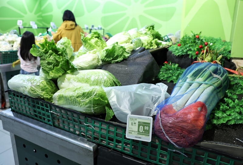 北京冬储菜正式开售 预计11月大批量供应市场