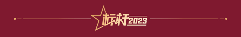 标杆2023丨张洪：每一总体心中都有一座珠峰 — 新京报