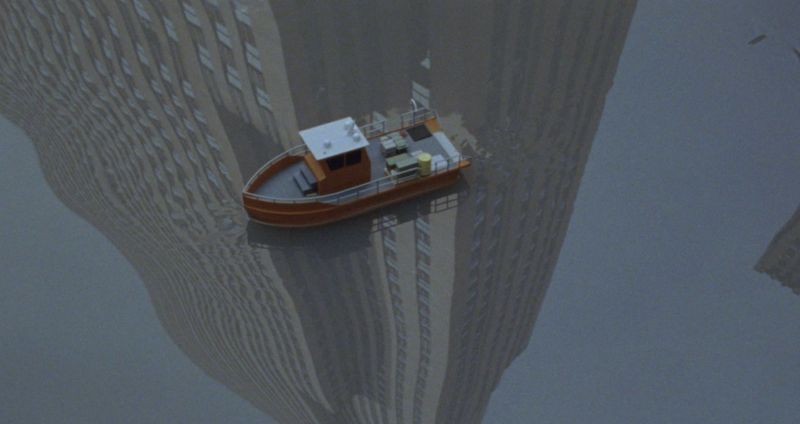 艺术展“地球上的性命”在美国举行，从性别视角重思情景惊险 — 新京报