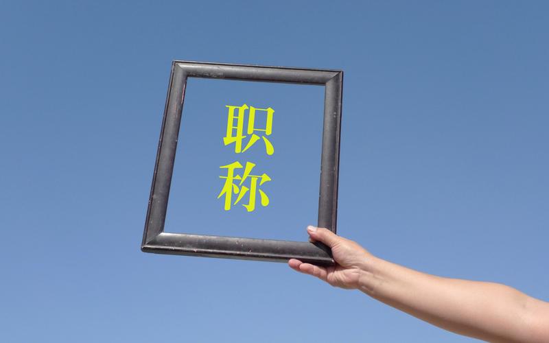 机构宣称“全程代庖”，职称评审不捷径可走