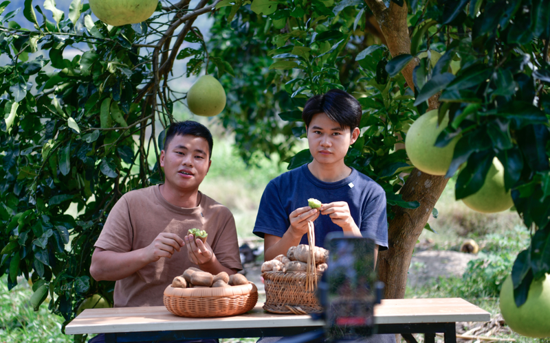 大学生返乡失业，算“强人浪费”吗？