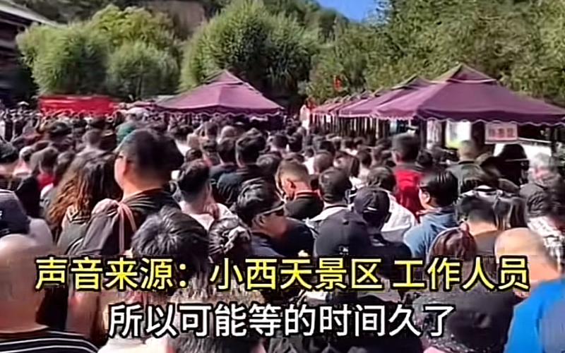 游客喊差评、住茅厕，不光是景区“极限”测试